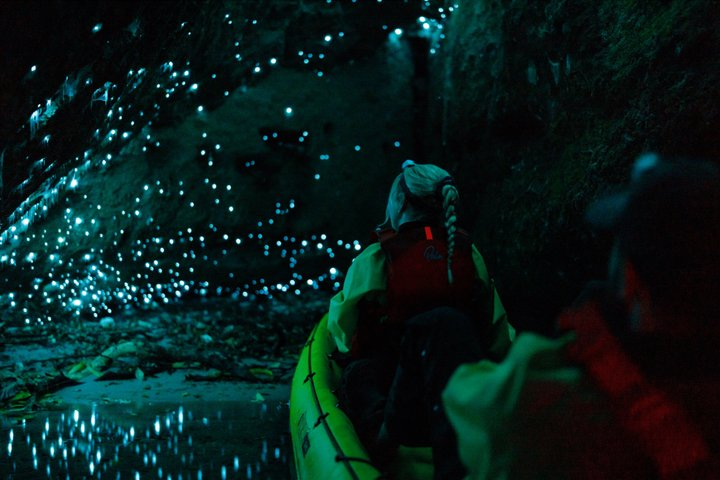 Glow Worm Kayak Tour - Photo 1 of 10